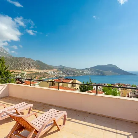 Begonia * Kalkan